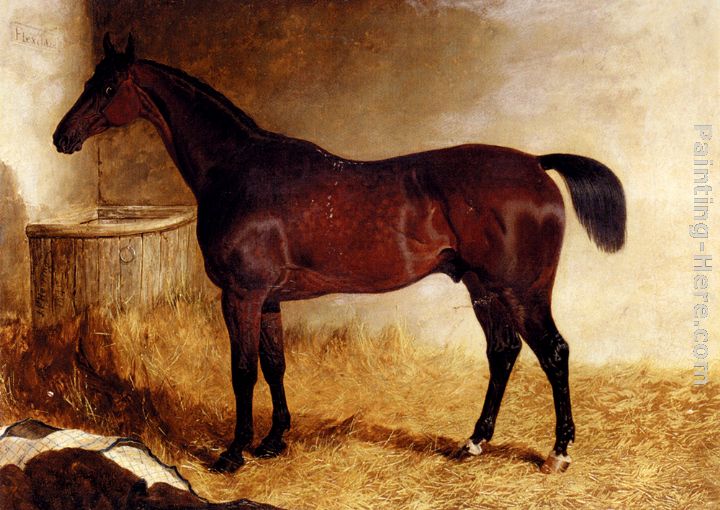 Flexible, A Chestnut Racehorse In A Loose Box painting - John Frederick Herring, Jnr Flexible, A Chestnut Racehorse In A Loose Box art painting